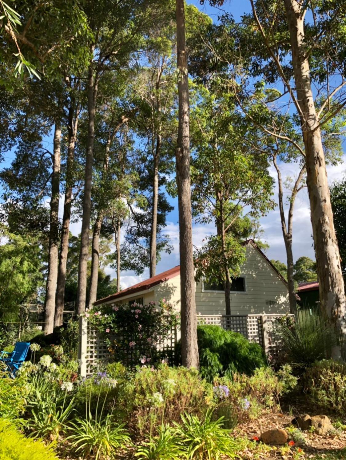 Апартаменти The Boulevard Garden Studio Margaret River Екстер'єр фото
